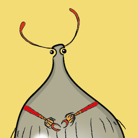 Bug image 1